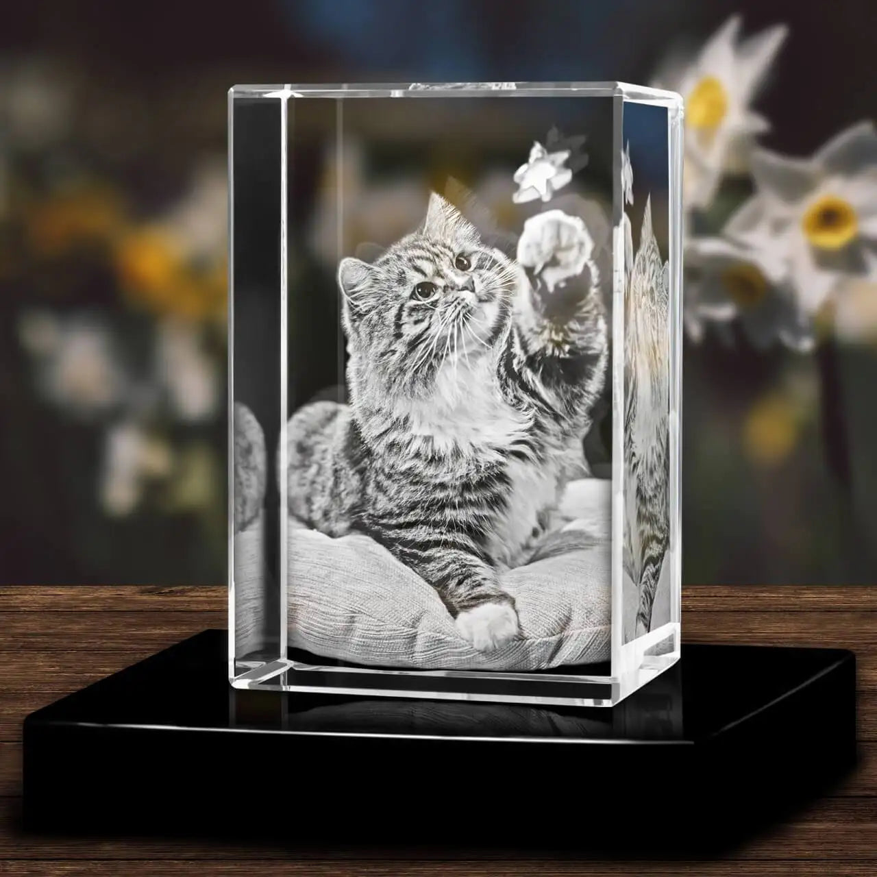 Personalized Sympathy Tribute Custom Gift for Loss of Beloved Pet with Crystal Decor Keepsake Offering for Departed Loved One