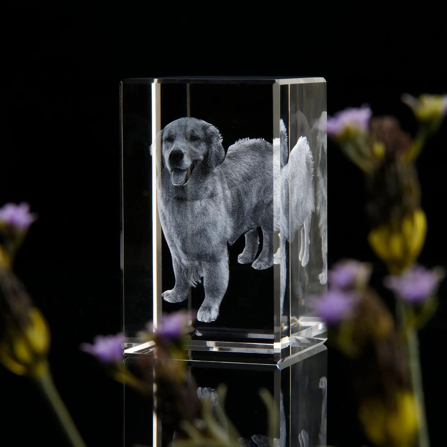 Personalized Sympathy Tribute Custom Gift for Loss of Beloved Pet with Crystal Decor Keepsake Offering for Departed Loved One