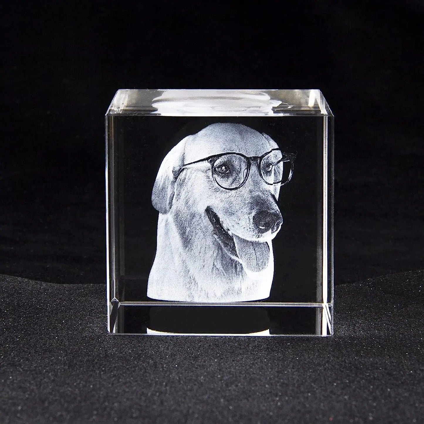 Personalized Sympathy Tribute Custom Gift for Loss of Beloved Pet with Crystal Decor Keepsake Offering for Departed Loved One
