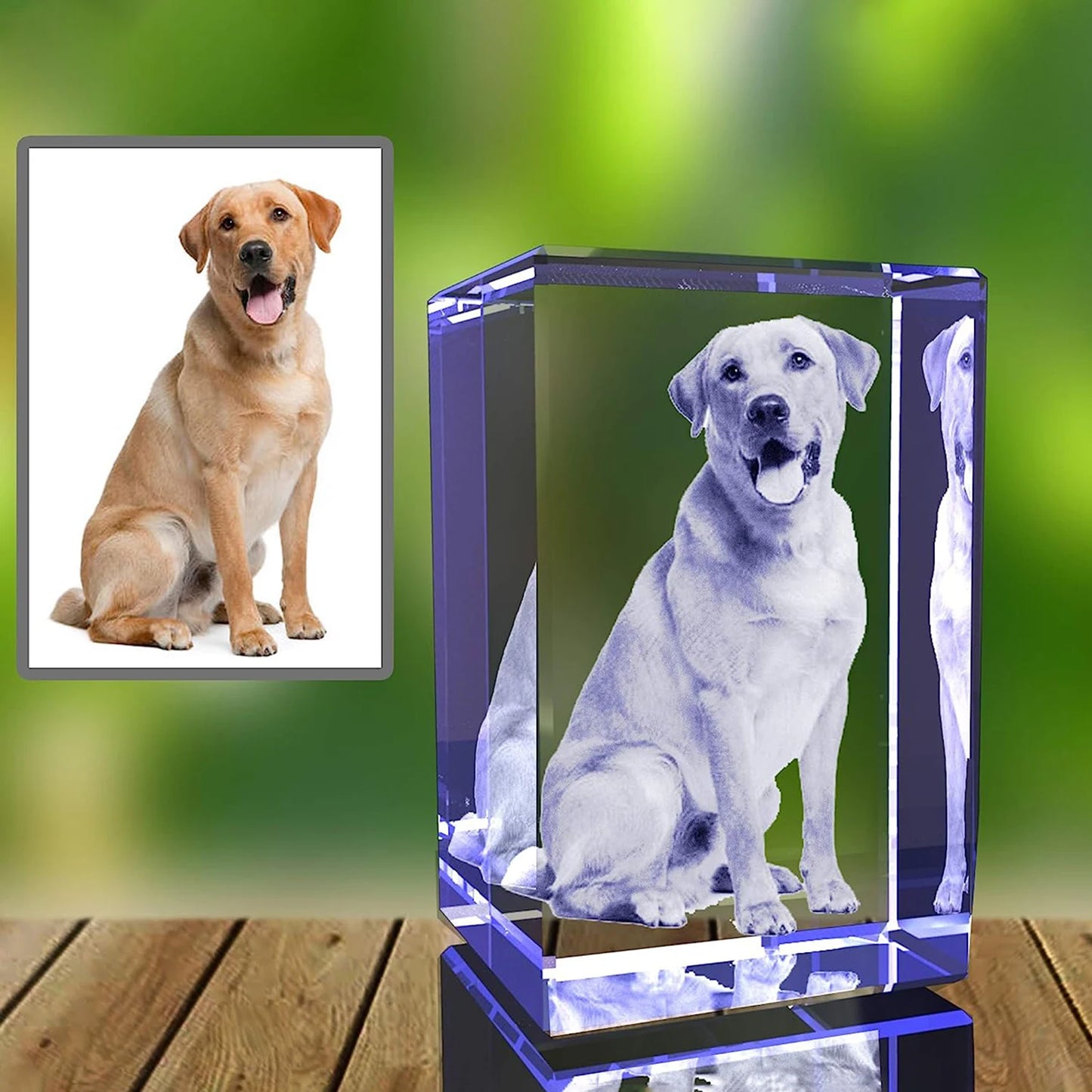 Personalized Sympathy Tribute Custom Gift for Loss of Beloved Pet with  Crystal Decor Keepsake Offering for Departed Loved One